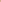 TOP COCO - BLOSSOM
