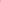BOTTOM COCO - BLOSSOM